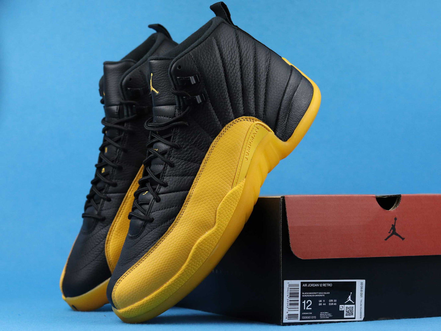 Air Jordan 12 retro